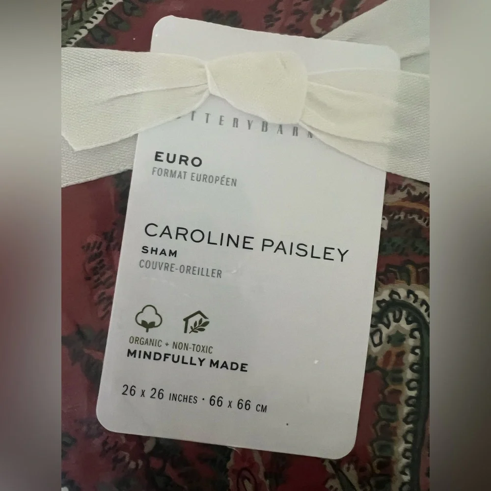 Pottery Barn Caroline Paisley PillowSham Euro Organic Cotton New